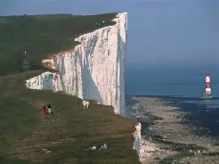 孙兴慜英超最佳阵容候选结果意外(孙兴慜英超首秀)